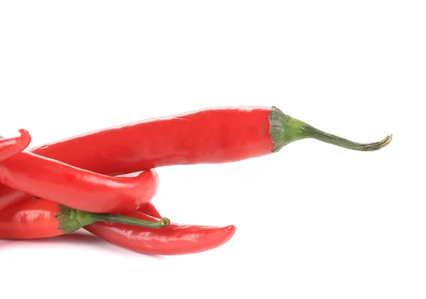 Bunch of red chilli pepper. — Stock Photo, Image