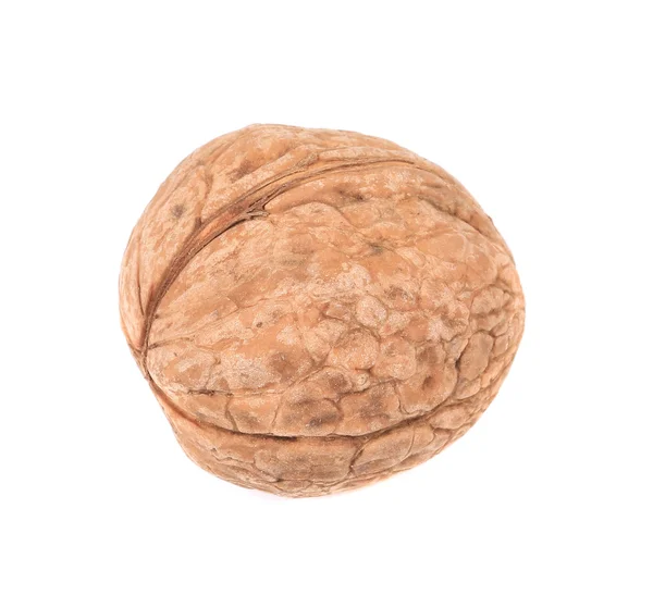 Закрыть грецким орехом — стоковое фото
