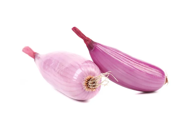 Organic red onions — Stock Photo, Image