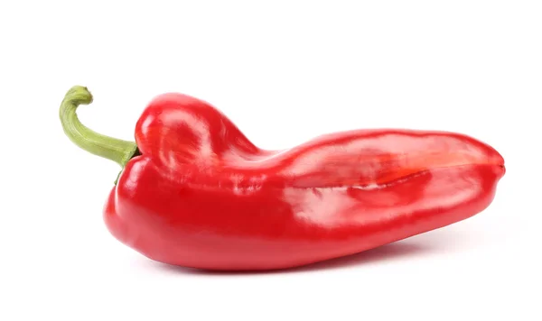 Röd paprika — Stockfoto