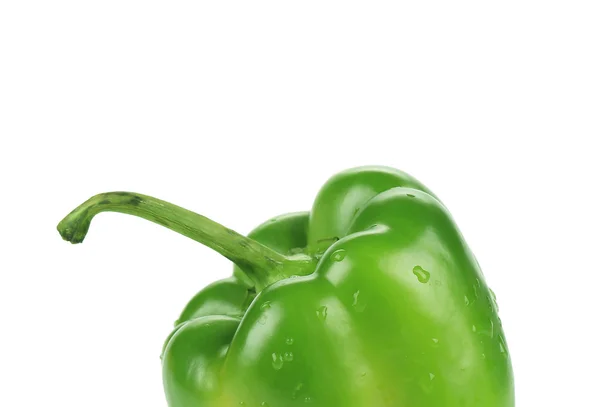 Grüne Paprika — Stockfoto