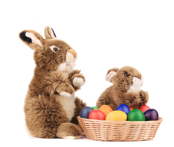 Conejos de Pascua y huevos — Foto de Stock