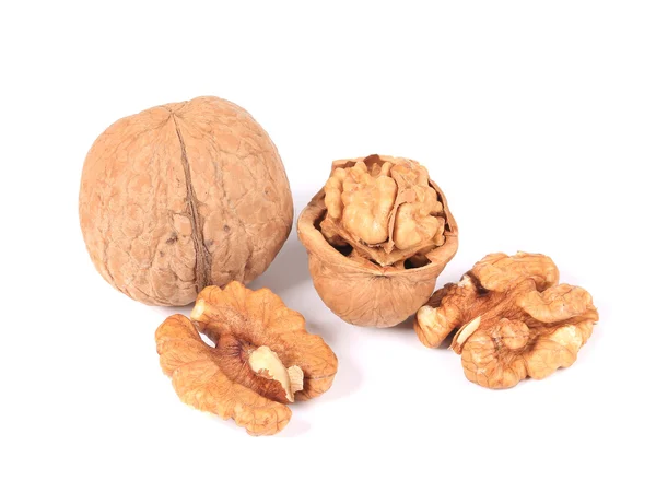 Измельченные грецкие орехи — стоковое фото