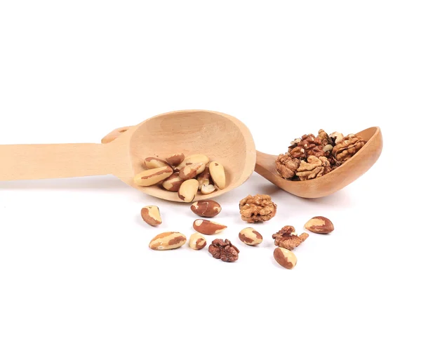 Spoon with walnuts and brazil nuts. — Stock Photo, Image