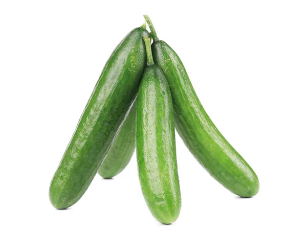 Four cucumber. — Stock Photo, Image