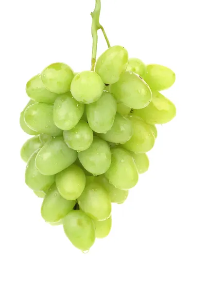 Bukiet zielonych winogron. — Zdjęcie stockowe