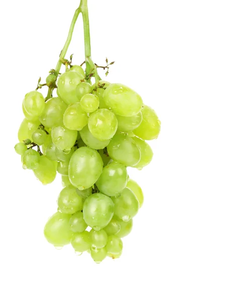 Bunch of green grapes. — Stock Photo, Image