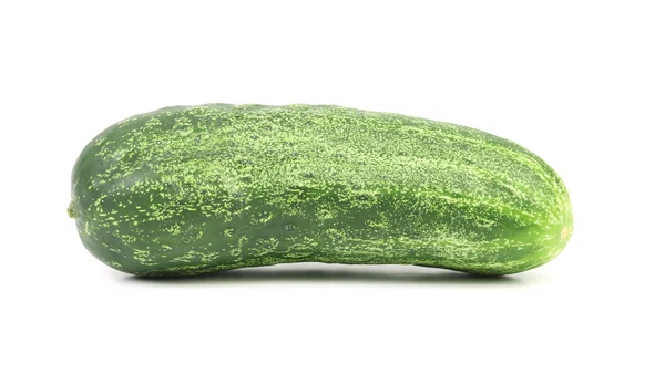 Fresh cucumber. — Stock Photo, Image