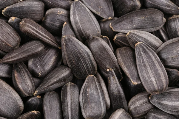 Sunflower seeds. — Stock Photo, Image