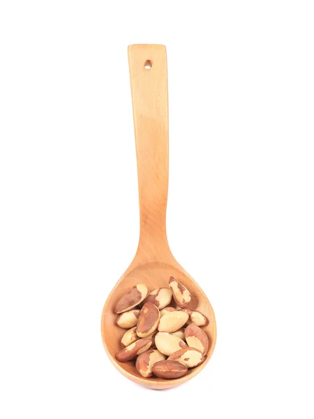 Wooden spoon with brazil nuts. — Stock Photo, Image