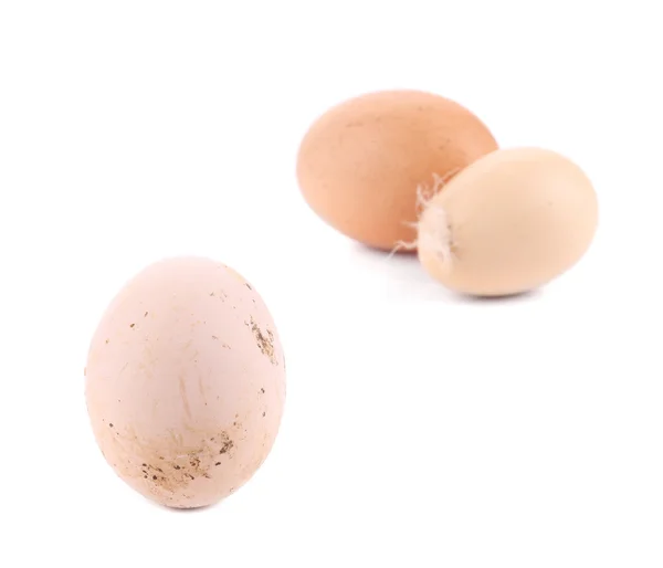 Homemade egg on a white background. — Stock Photo, Image