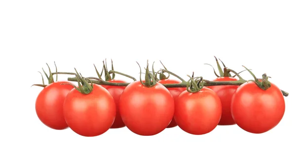 Состав томатной вишни — стоковое фото