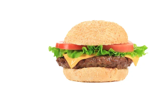 Smakelijk fastfood-hamburger — Stockfoto