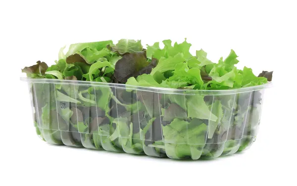 Green and red leaf of lettuce in box — Stock Photo, Image