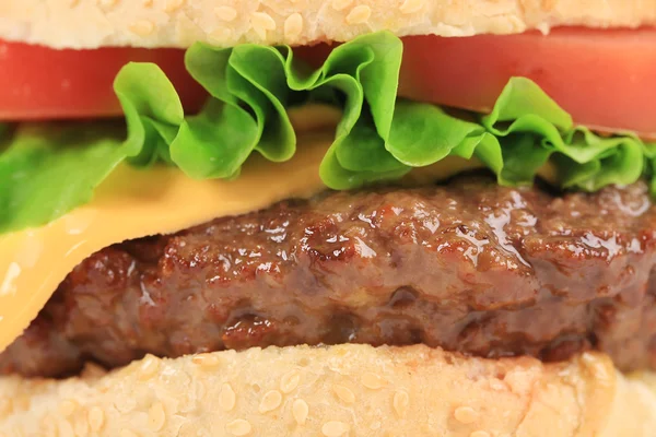 Hamburger katmanları — Stok fotoğraf