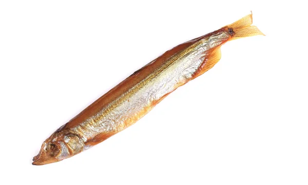황금 연기 물고기 — 스톡 사진