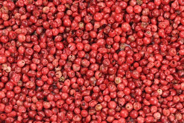 Pimienta roja —  Fotos de Stock