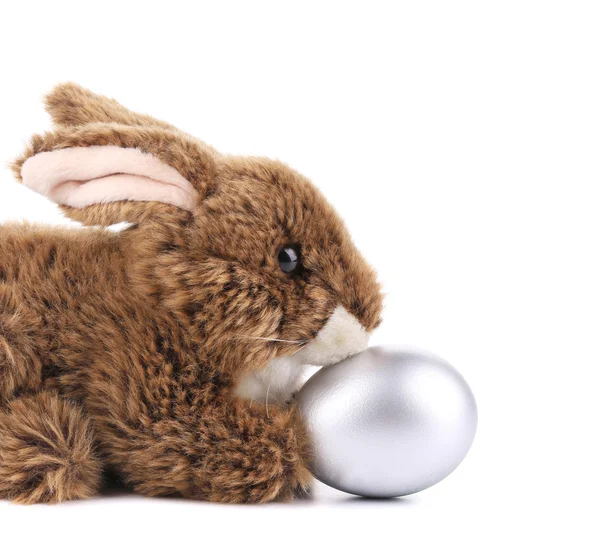 Osterhase mit Ei — Stockfoto