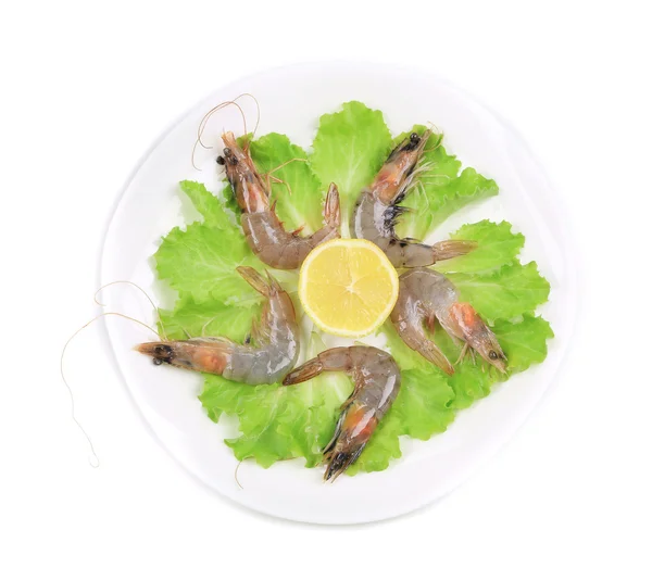 Crevettes tigrées crues sur plaque — Photo