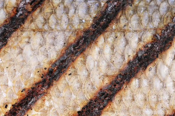 Fish grill skin — Stock Photo, Image