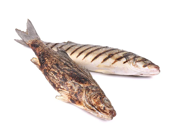 Ryby dwa labraksów z grilla — Zdjęcie stockowe