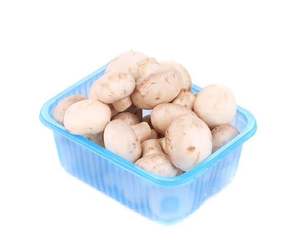 Cogumelos champignon em uma caixa azul — Fotografia de Stock