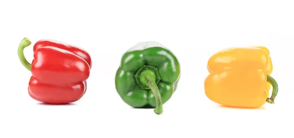 Colored peppers — Stock Photo, Image