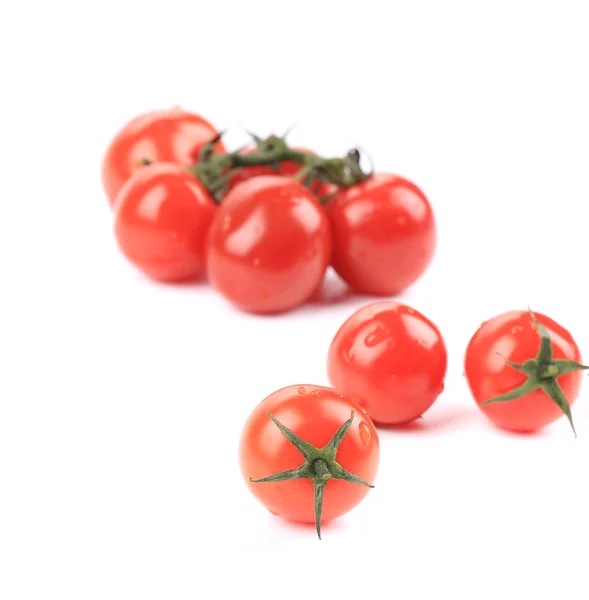 Tomate maduro — Fotografia de Stock