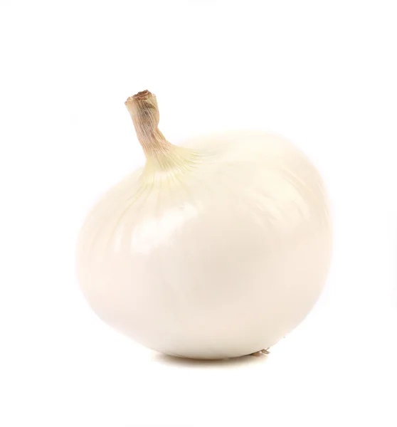White onion. — Stock Photo, Image