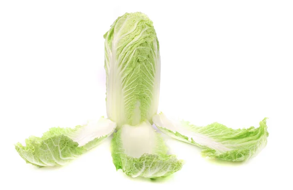 Tasty Chinese cabbage. — Stock Photo, Image