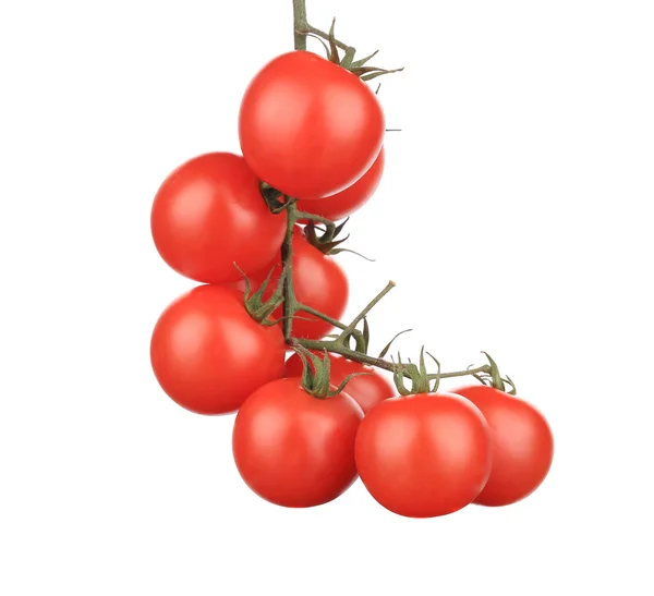 Composición de tomates cereza . — Foto de Stock
