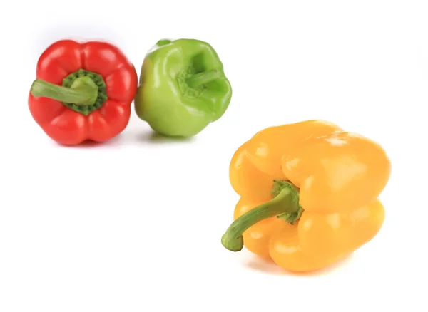 Söta färgglada paprika — Stockfoto