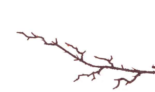 Kunstmatige branch. — Stockfoto