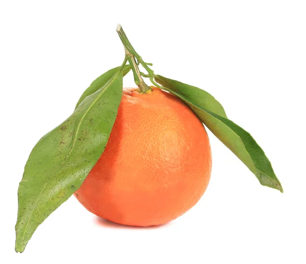 Reife Mandarine mit grünen Blättern — Stockfoto