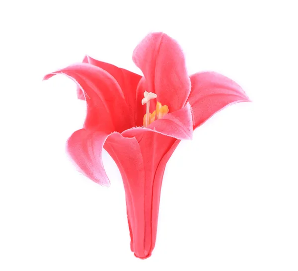 Flor artificial rosa . — Fotografia de Stock