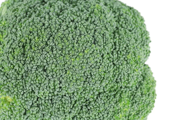 Färsk broccoli. — Stockfoto