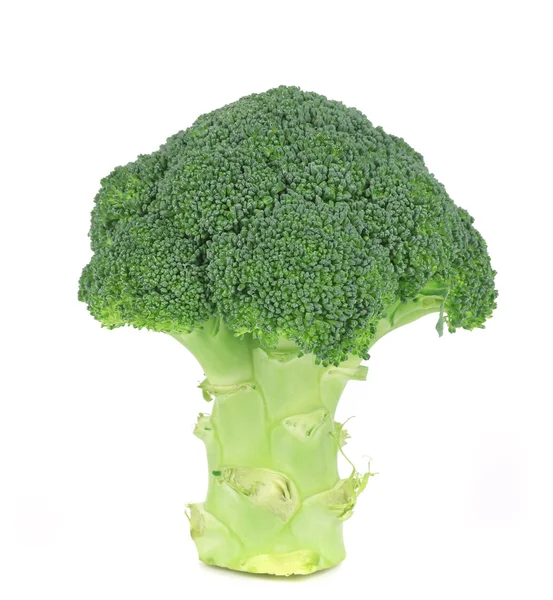 Brócoli fresco. — Foto de Stock