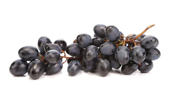 Branch of ripe black grapes. — Stock Photo, Image