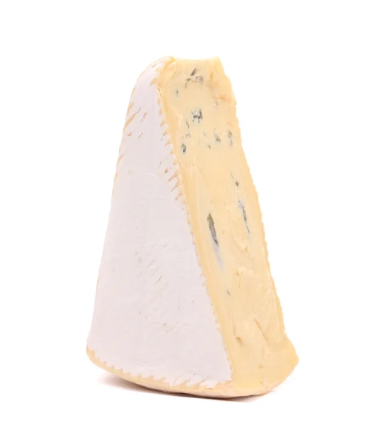 ゴルゴンゾーラの柔らかいチーズ. — ストック写真