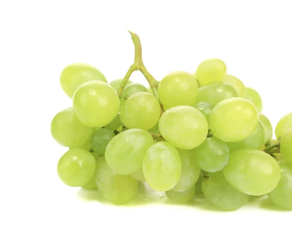 Bunch of ripe grapes. — Stock Photo, Image