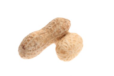 soyulmamış fıstık