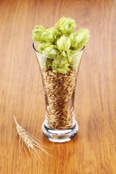 Bicchiere con luppolo e grano . — Foto Stock