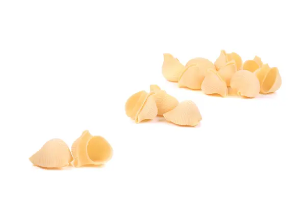 Bunches of Italian pasta shells — Stock Photo, Image