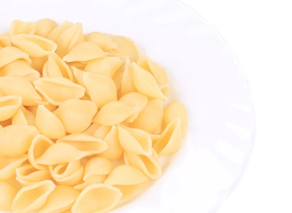 Italian pasta shells on a plate — Stock Photo, Image