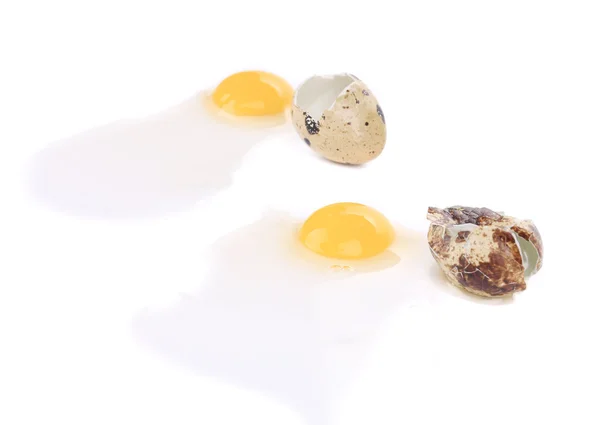 Raw broken quail eggs — Stock Photo, Image