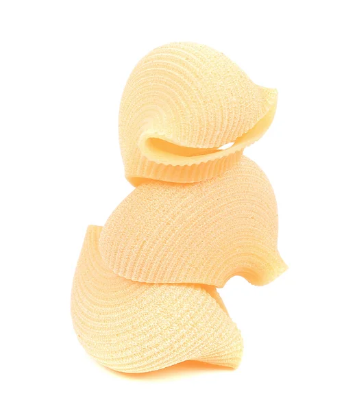 Three Italian pasta shells — Stock Photo, Image