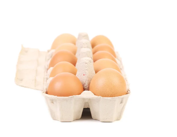 Eggs in protective case foreground — Stock Photo, Image