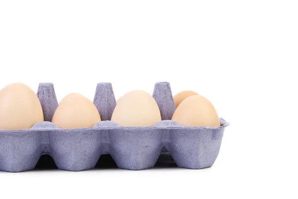 Eggs in a blue carton box — Stock Photo, Image