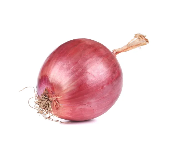 Close up of red onion — Stock Photo, Image