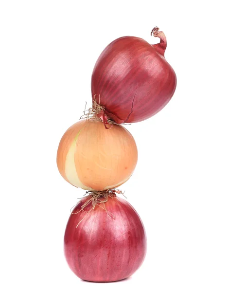 Różne cebuli — Zdjęcie stockowe